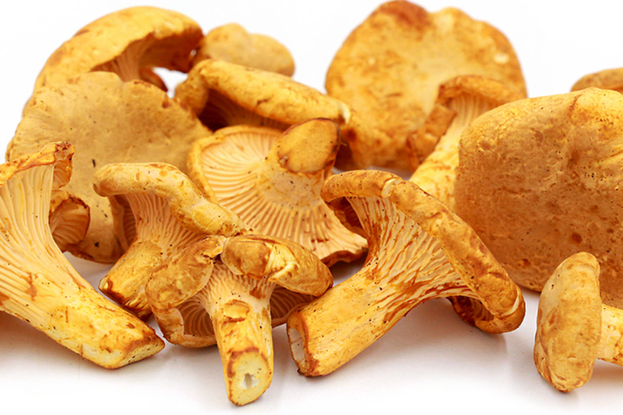 Chanterelle (galbiori)