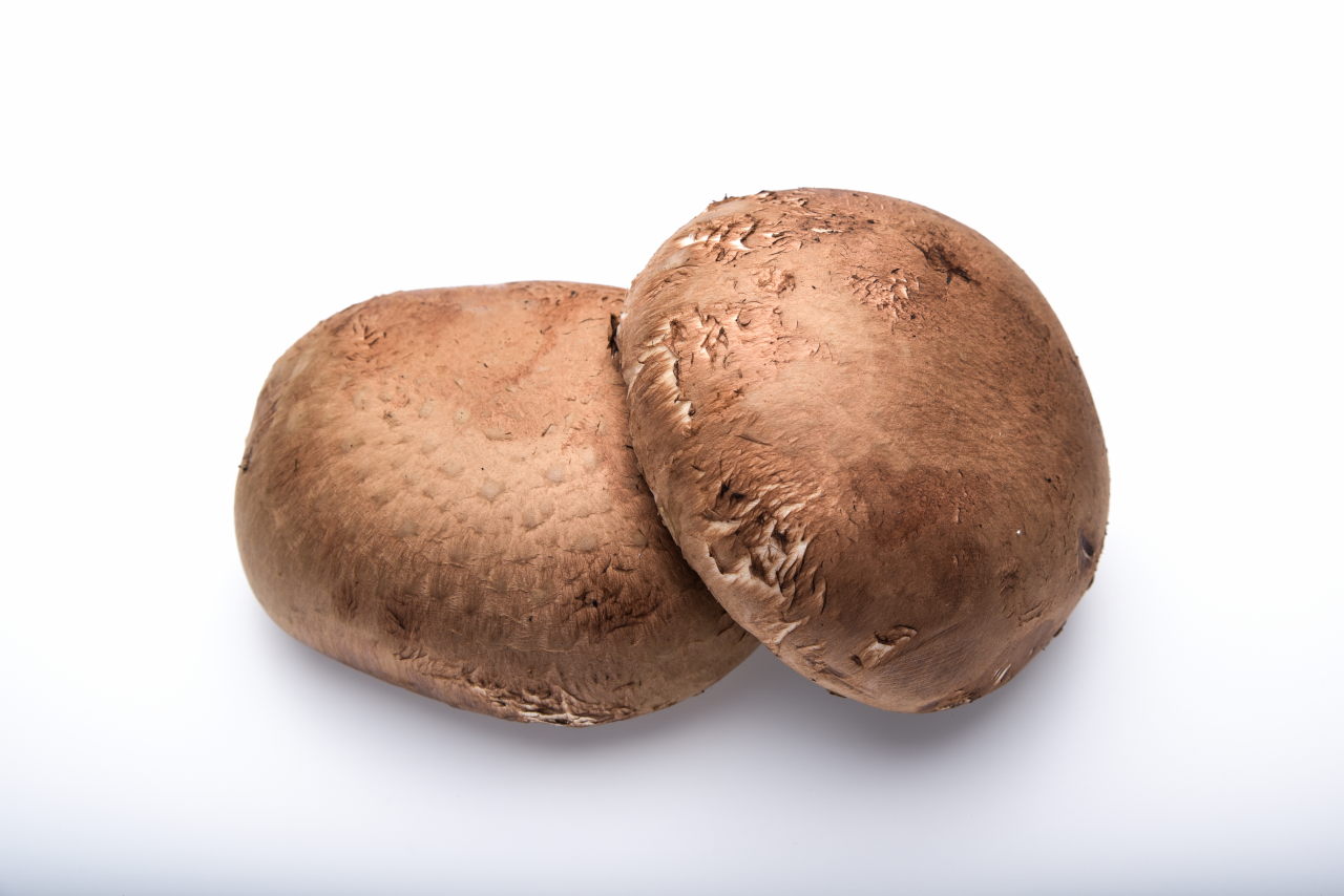 Portabela
