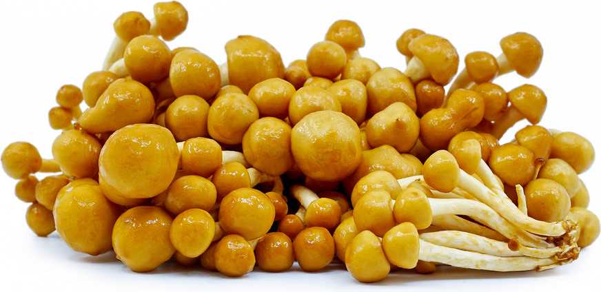 Nameko
